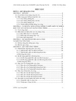 Đồ án Thiết kế kỹ thuật bến tổng hợp 30.000 DWT cảng tổng hợp Thị Vải