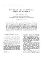 Hoàn thiện môi trường kinh tế ở Việt Nam trong quá trình hội nhập WTO