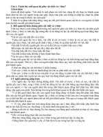 Câu hỏi và đáp án lý luận chính trị