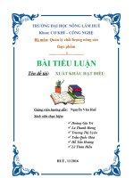 Bài tiểu luận đề tài Xuất khẩu điều
