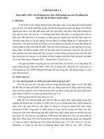 Tách chiết ADN với số lượng cực lớn, chất lượng cao của 30 giống lúa bản địa ưu tú được tuyển chọn
