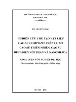 Nghiên cứu chế tạo vật liệu cao su compozit trên cơ sở cao su thiên nhiên, cao su butadien với than và nanosilica 
