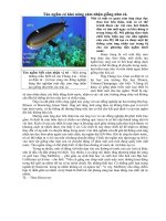 Tàu ngầm trang bị cảm biến như cá