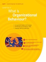 What is organizational behavior