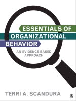 Essentials of organizational behavior and evidence based approach