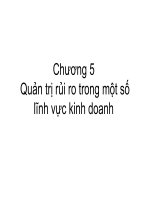 Chương 5  quản trị rủi ro trong các lĩnh vực đặc thù