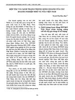 Hợp tác và cạnh tranh trong kinh doanh của các Doanh nghiệp Nhỏ và Vừa Việt Nam