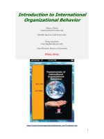 Introduction to international organizational behavior