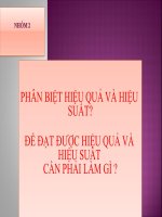 Phân biệt hiệu quả và hiệu suất. để đạt được hiểu quả và hiệu suất cần phải làm gì