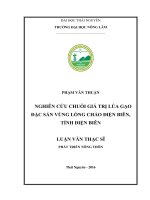 Nghiên cứu chuỗi giá trị lúa gạo đặc sản vùng lòng chảo điện biên, tỉnh điện biên 