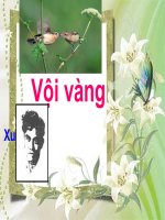 Giáo án ngữ văn 11 Vội Vàng