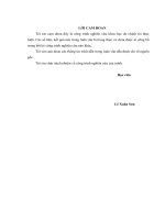 Ứng dụng giải pháp phun vữa áp lực cao dọc thân cọc khoan nhồi để tăng khả năng chịu tải của cọc 