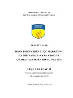 Hoàn thiện chiến lược marketing cà phê rang xay của công ty cổ phần tập đoàn trung nguyên 