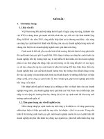 Giải pháp nâng cao năng lực cạnh tranh của công ty pepsico tại TP HCM 