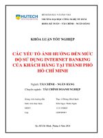 Các yếu tố ảnh hưởng đến mức độ sử dụng internet banking của khách hàng tại TP  HCM 