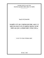 Nghiên cứu quá trình hấp phụ Asen và một số chất ô nhiễm trong nước trên quặng Laterit biến tính La.