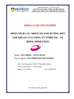 Phân tích các nhân tố ảnh hưởng đến lợi nhuận của công ty TNHH TM SX hồng minh châu  