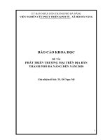 Phát Triển Thương Mại Trên Địa Bàn Thành Phố Đà Nẵng Đến Năm 2020