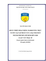 Hoàn thiện hoạt động marketing trực tuyến tại tập đoàn tân á   đại thành ở thành phố hồ chí minh đến2020 