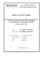 Phân tích hoạt động tín dụng khối khách hàng cá nhân tại ngân hàng TMCP việt nam thịnh vượng (VP bank)   chi nhánh gia định giai đoạn 2013   2015 