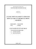 Các đặc trưng plasmon và tính chất động lực học của hệ điện tử trong graphene