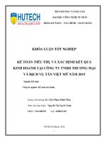 Kế toán doanh thu, chi phí và xác định kết quả kinh doanh tại công ty TNHH TM DV tân việt mỹ năm 2015 