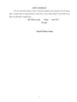 Biện pháp phát triển dịch vụ giao nhận vận tải hàng hóa bằng đường biển tại công ty Bee Logistics