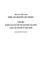 Tài nguyên cây thuốc: Cây bạc hà