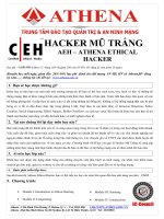 AEH Hacker Mũ Trắng Athena