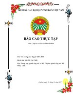 Báo cáo thực tập công tác xã hội