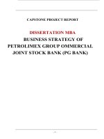 BUSINESS STRATEGY OF PETROLIMEX GROUP OMMERCIAL JOINT STOCK BANK (PG BANK)