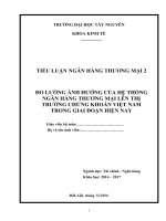 Bài Tiểu Luận Ngân Hàng Thương Mại   ĐO LƯỜNG ẢNH HƯỞNG CỦA HỆ THỐNG NGÂN HÀNG THƯƠNG MẠI LÊN THỊ TRƯỜNG CHỨNG KHOÁN VIỆT NAM TRONG GIAI ĐOẠN HIỆN NAY