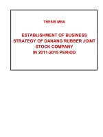 ESTABLISHMENT OF BUSINESS STRATEGY OF DANANG RUBBER JOINT STOCK COMPANY