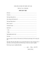 mau don xin viec chuan 