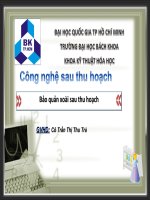 Bảo quản xoài sau thu hoạch