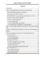 Báo Cáo Thực Tập Tốt Nghiệp Nhà Máy Đạm Phú Mỹ