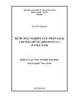 Bước đầu nghiên cứu phân loại chi mận rừng (rhamnus l  ) ở việt nam 