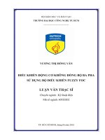 Điều khiển động cơ không đồng bộ ba pha sử dụng bộ điều khiển fuzzy foc 