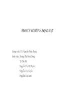 Slide: SINH LÝ NGƯỜI VÀ ĐỘNG VẬT