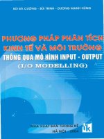 Phuong phap phan tich kinh te va moi truong thong qua mo hinh input output