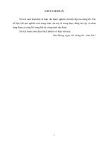 Một số biện pháp tăng cường công tác đấu tranh chống gian lận thương mại đối với hàng hoá XNK tại Cục Hải quan TP. Hải Phòng