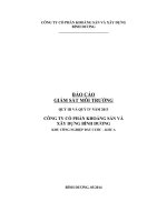 Báo Cáo Giám Sát Môi Trường Công Ty Cổ Phần Khoáng Sản Và Xây Dựng Bình Dương