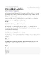 Bai toan do thi pascal