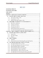 Nghiên cứu tổng hợp, đặc trưng cấu trúc vật liệu nano - zeolit nax có chứa mao quản trung bình từ vỏ trấu