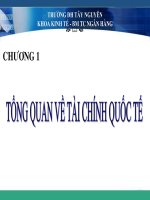 Bài Giảng Môn Tài Chính Quốc Tế
