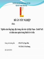 Nghiên cứu tổng hợp, đặc trưng cấu trúc vật liệu nano - zeolit nax có chứa mao quản trung bình từ vỏ trấu