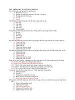 Gãy trên lồi cầu xương cánh tay 