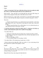 Đáp án Đề thi thử học sinh giỏi môn Địa lý 9 cực hay từ đề 11 đến đề 15