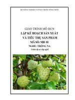 Giáo Trình Mô Đun Lập Kế Hoạch Sản Xuất Và Tiêu Thụ Sản Phẩm