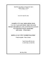 Nghiên cứu đặc điểm hình thái và cấu tạo giải phẫu một số loài thuộc họ khoai lang (convolvulaceae) tại trạm đa dạng sinh học mê linh – vĩnh phúc 